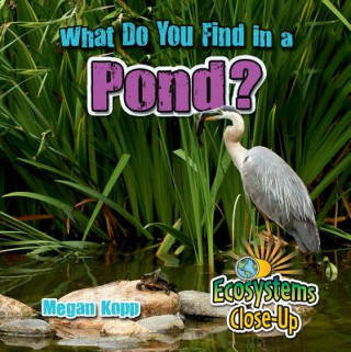 Könyv What Do You Find in a Pond? Megan Kopp