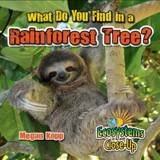 Könyv What Do You Find in a Rainforest Tree? Megan Kopp