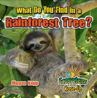 Kniha What Do You Find in a Rainforest Tree? Megan Kopp