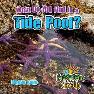 Kniha What Do You Find in a Tide Pool? Megan Kopp