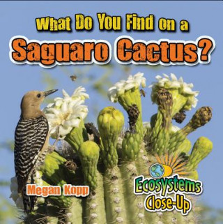 Könyv What Do You Find on a Saguaro Cactus? Megan Kopp