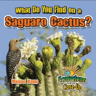 Libro What Do You Find on a Saguaro Cactus? Megan Kopp