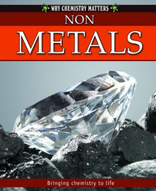 Βιβλίο Non-Metals Adrienne Montgomerie