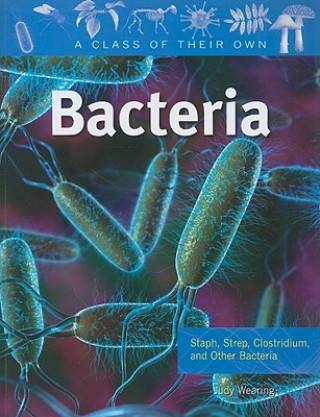 Buch Bacteria Judy Wearing