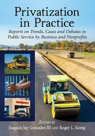 Knjiga Privatization in Practice Joaquin Jay Gonzalez