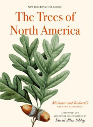 Kniha Trees of North America David Allen Sibley