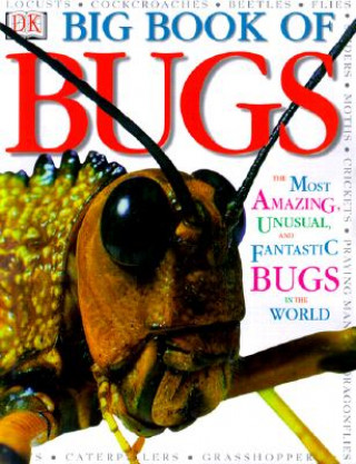 Книга Big Book of Bugs Theresa Greenaway