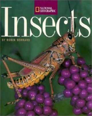 Kniha Insects Robin Bernard