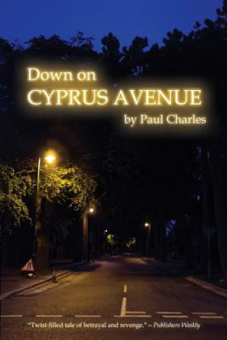 Buch Down on Cyprus Avenue Paul Charles