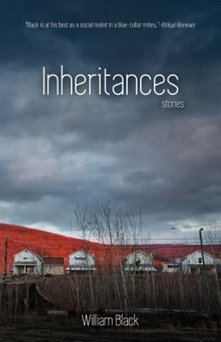 Kniha Inheritances William Black