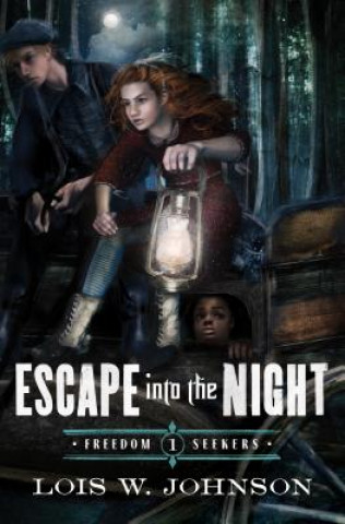 Carte Escape into the Night Lois Walfrid Johnson