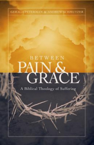 Kniha Between Pain & Grace Gerald W. Peterman