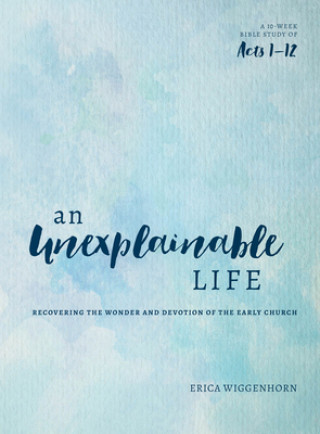 Könyv An Unexplainable Life Erica Wiggenhorn