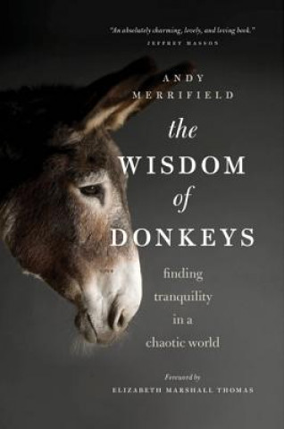 Kniha The Wisdom of Donkeys Andy Merrifield