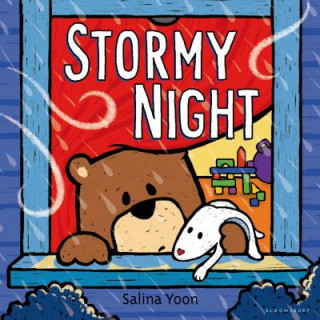 Kniha Stormy Night Salina Yoon