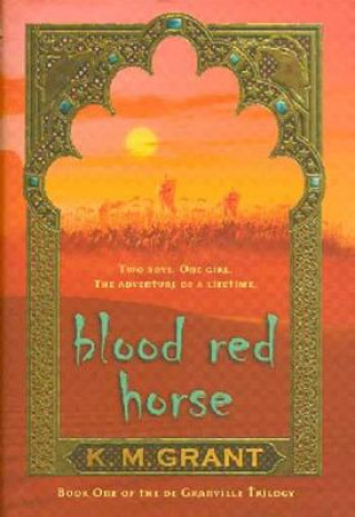 Kniha Blood Red Horse K. M. Grant