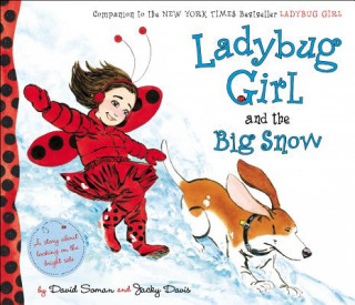 Kniha Ladybug Girl and the Big Snow David Soman