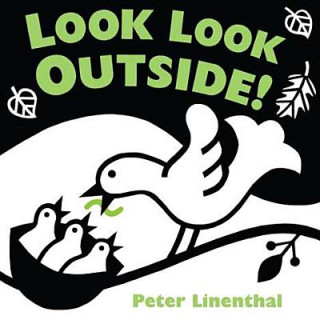 Könyv Look Look Outside! Peter Linenthal