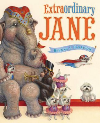 Βιβλίο Extraordinary Jane Hannah E. Harrison