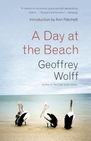 Książka A Day at the Beach Geoffrey Wolff