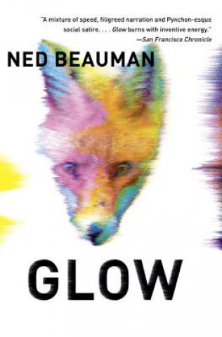 Kniha Glow Ned Beauman