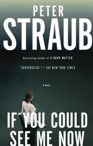 Buch If You Could See Me Now Peter Straub