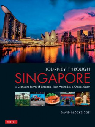 Carte Journey Through Singapore David Blocksidge
