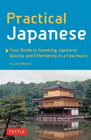 Kniha Practical Japanese Jun Maeda