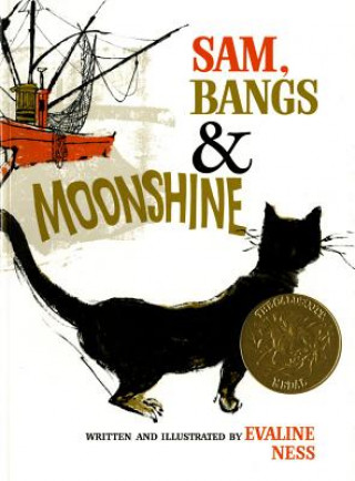 Kniha SAM BANGS & MOONSHINE Evaline Ness