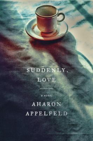 Könyv Suddenly, Love Aharon Appelfeld