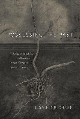 Boek Possessing the Past Lisa Hinrichsen