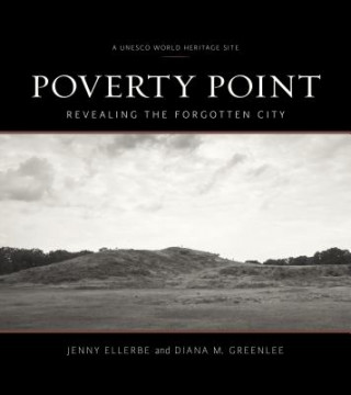 Buch Poverty Point Jenny Ellerbe