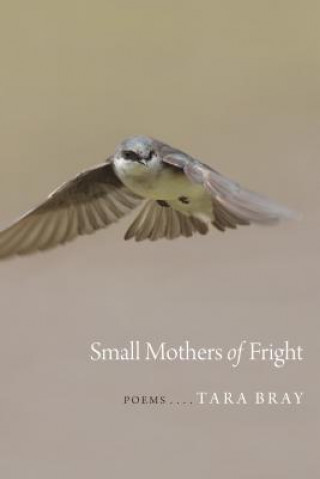 Книга Small Mothers of Fright Tara Bray