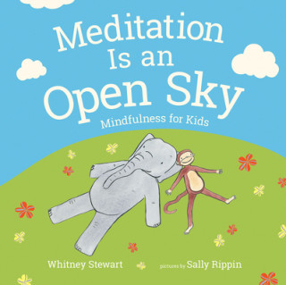 Kniha Meditation Is an Open Sky Whitney Stewart