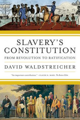 Könyv Slavery's Constitution David Waldstreicher