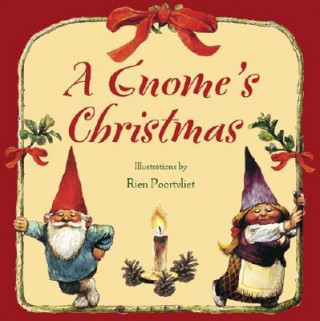 Kniha Gnomes Christmas Bruce Goldstone