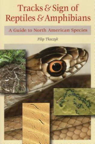 Kniha Tracks & Sign of Reptiles & Amphibians Filip A Tkaczyk