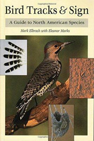 Knjiga Bird Tracks and Sign Mark Elbroch