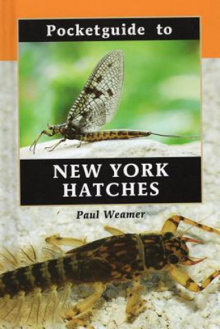 Buch Pocketguide to New York Hatches Paul Weamer