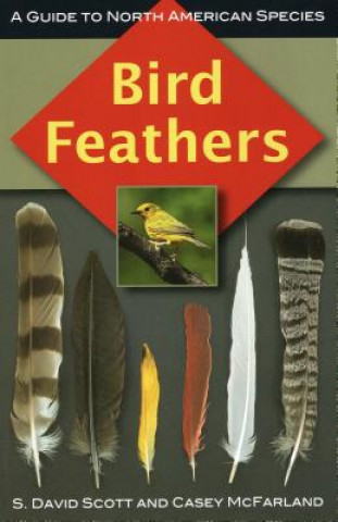 Kniha Bird Feathers S. David Scott
