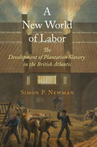 Carte New World of Labor Simon P. Newman