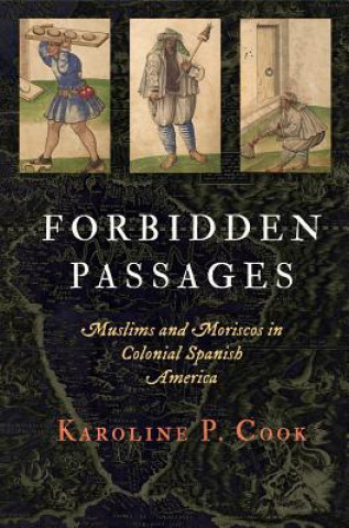 Kniha Forbidden Passages Karoline P. Cook