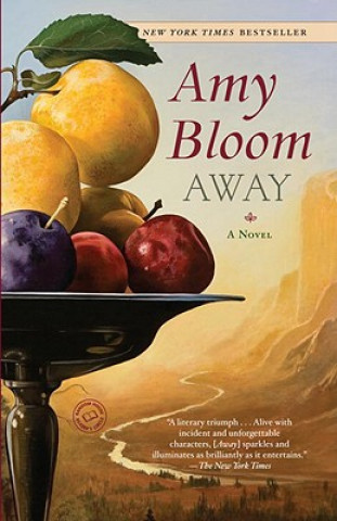 Книга Away Amy Bloom