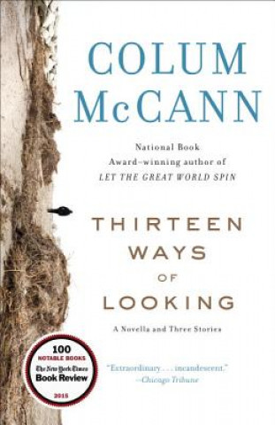 Book Thirteen Ways of Looking Colum McCann