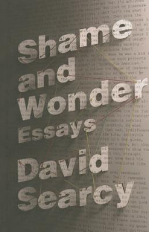 Carte Shame and Wonder David Searcy