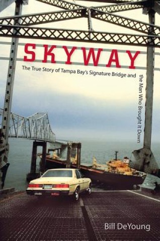 Книга Skyway Bill Deyoung