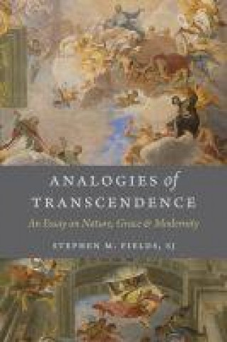 Książka Analogies of Transcendence Stephen M. Fields