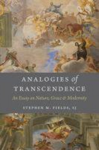 Kniha Analogies of Transcendence Stephen M. Fields