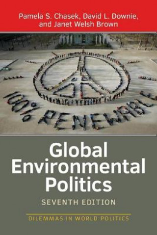 Książka Global Environmental Politics Pamela S. Chasek