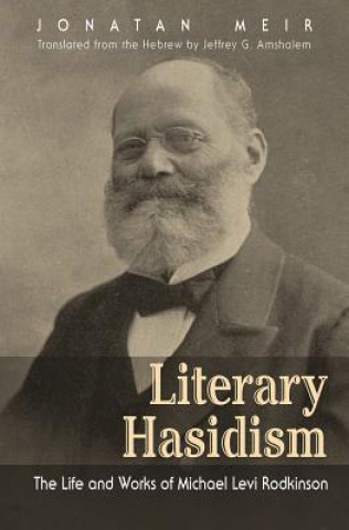 Kniha Literary Hasidism Jonatan Meir